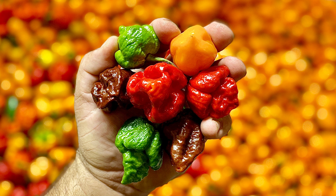 HI Spice | Hawai'i Inspired Hot Sauce – HI SPICE